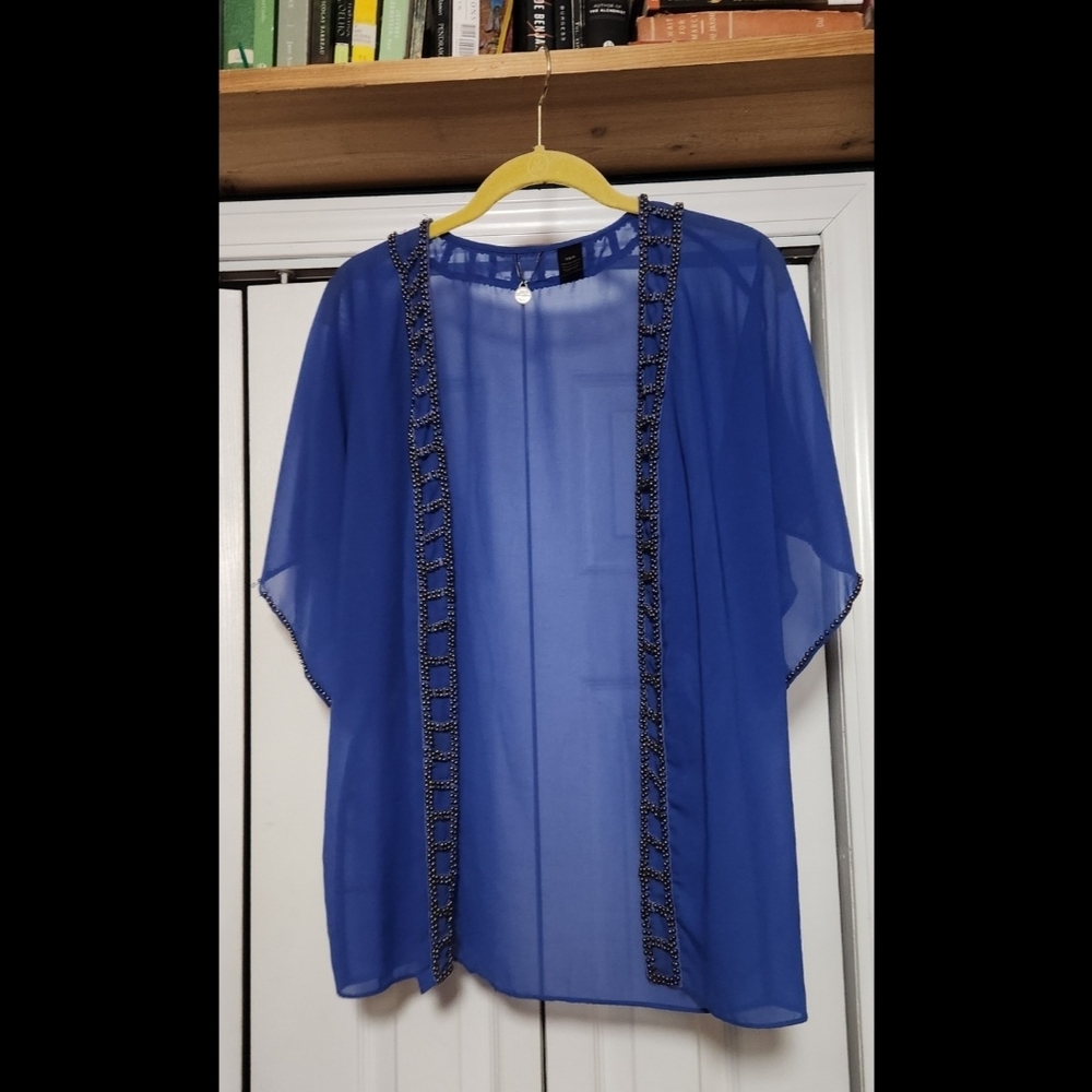 Elegant Blue Sheer Women's Top